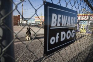 dog bite lawyer in Castle Rock, CO